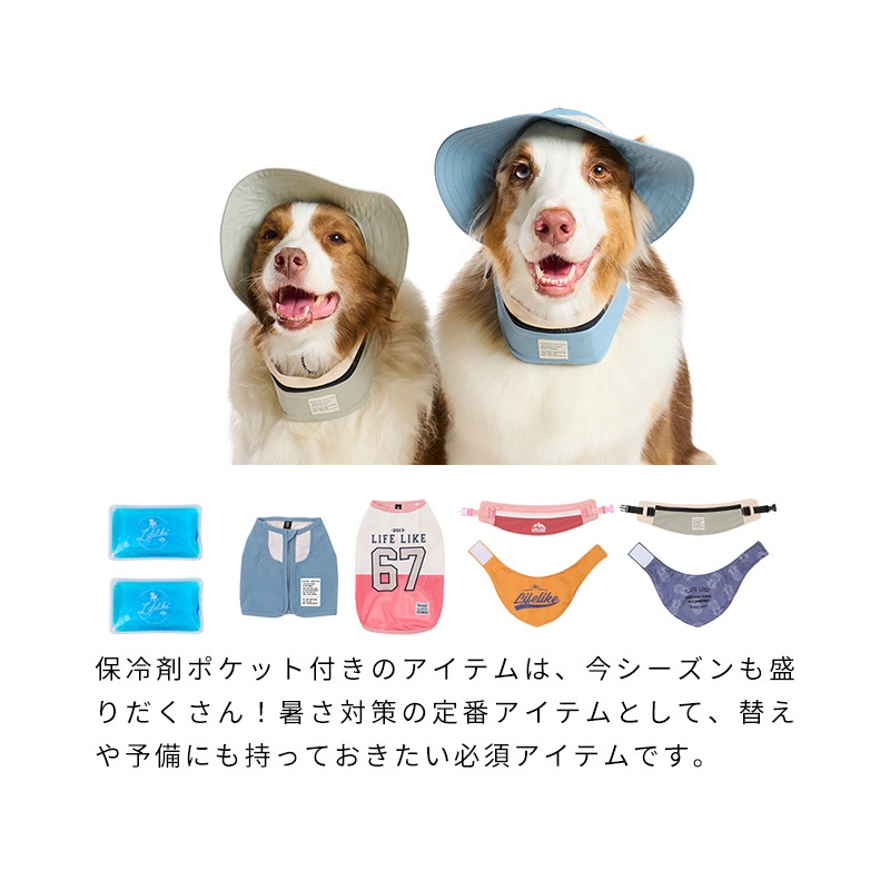 ロゴアイスパック