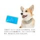 ロゴアイスパック