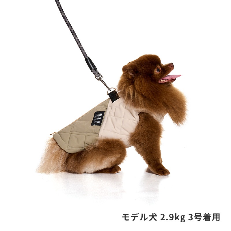 アビエイターパデッドハーネス