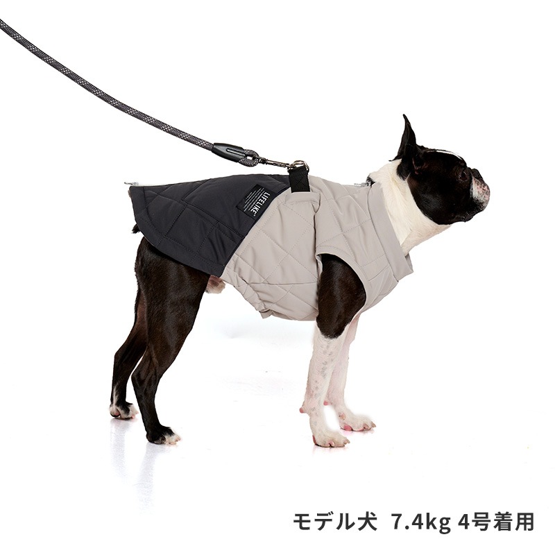 アビエイターパデッドハーネス