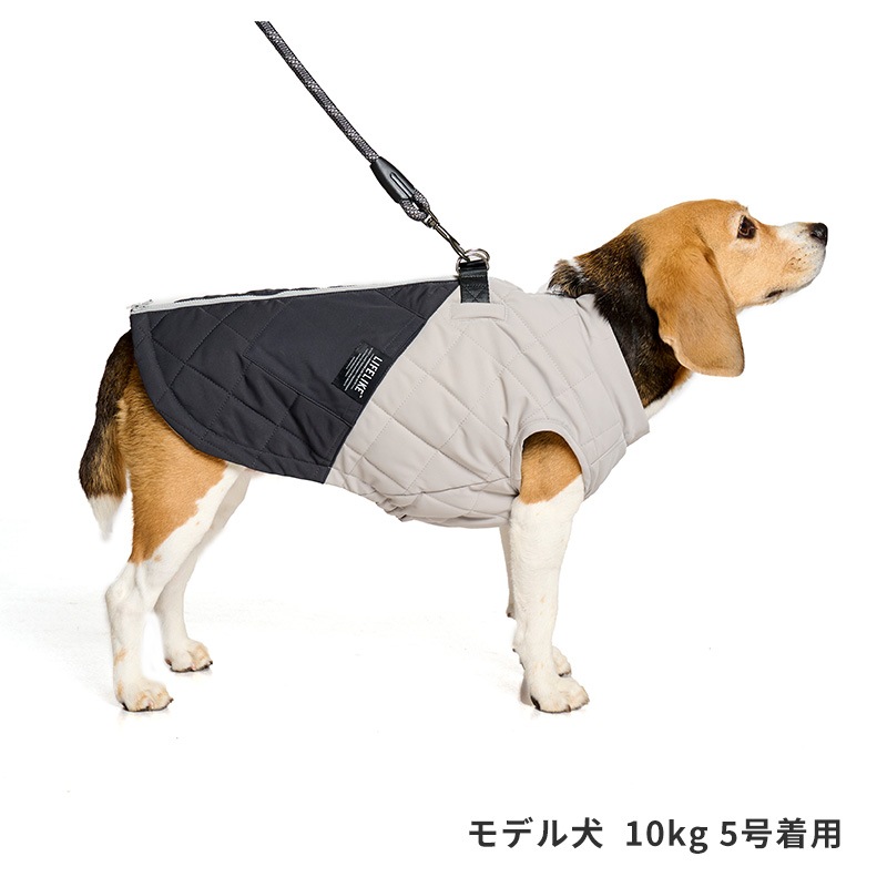 アビエイターパデッドハーネス