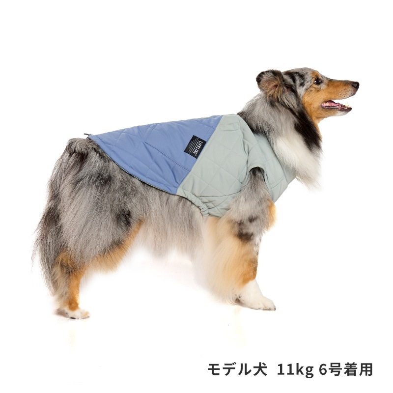 アビエイターパデッドハーネス | Wear Harness（ウェアハーネス