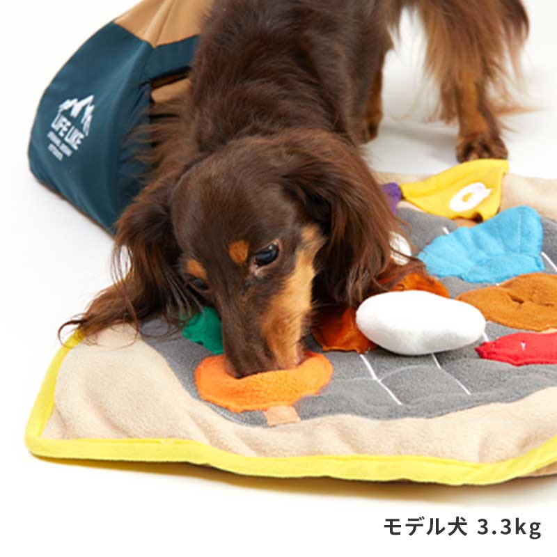 テントノーズワークマット