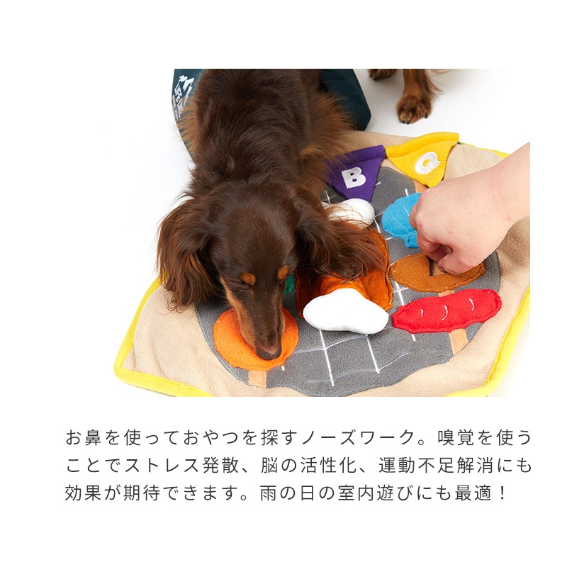 テントノーズワークマット