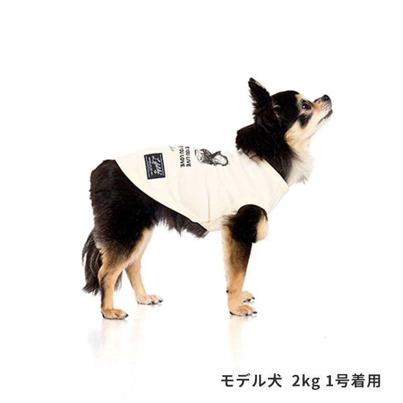 ドッグタイプタンク｜CHIHUAHUA