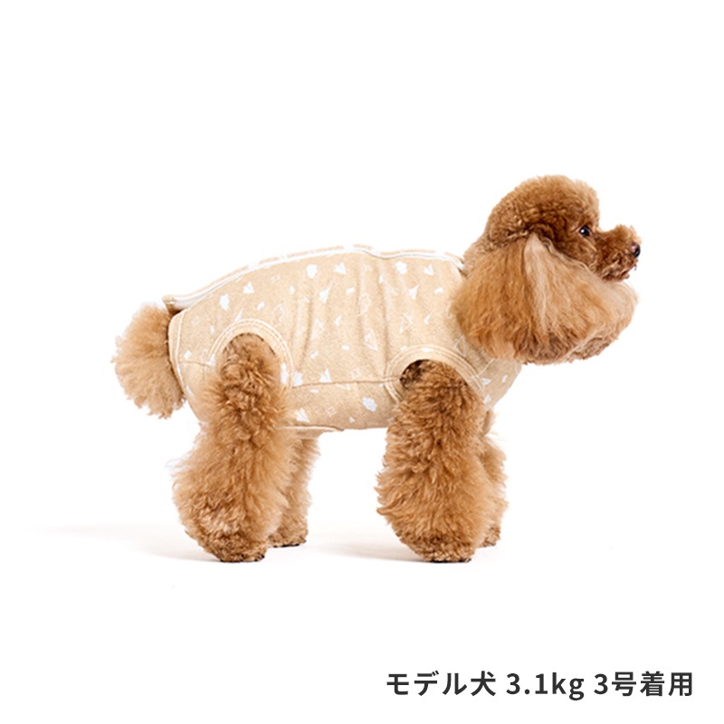 犬服 ラグラン(M) ꒡̈⃝Lily꒡̈⃝ハンドメイド