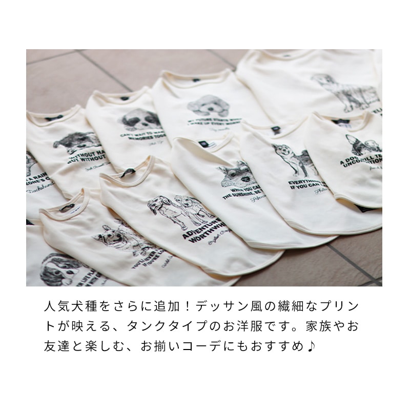 ドッグタイプタンク｜DACHS