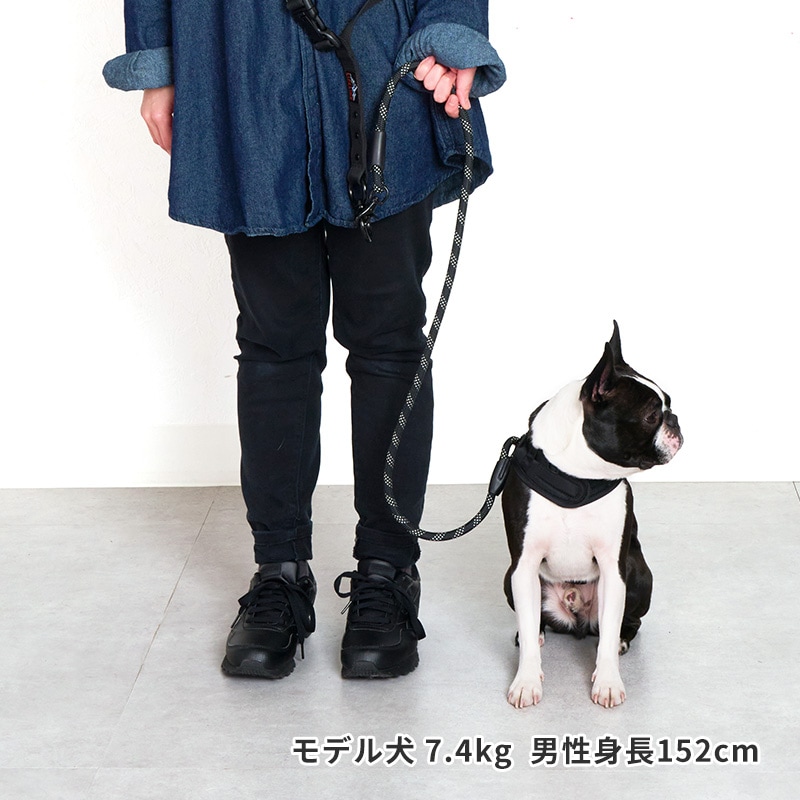 HOZI サドルハーネス& サドルハンズフリーリード ブラック 2WAY