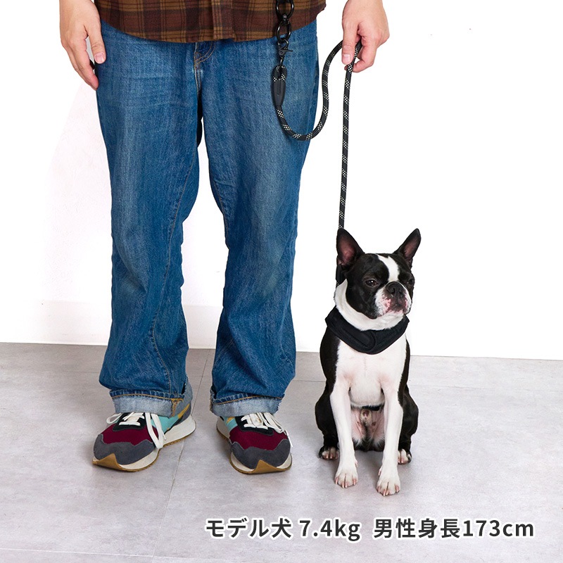 2WAYハンズフリーリード