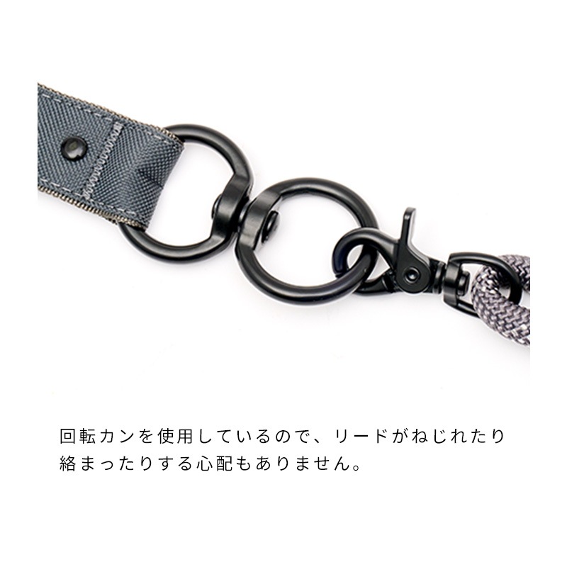 oneco リード2(Pライン) oneco リード2(Pライン)