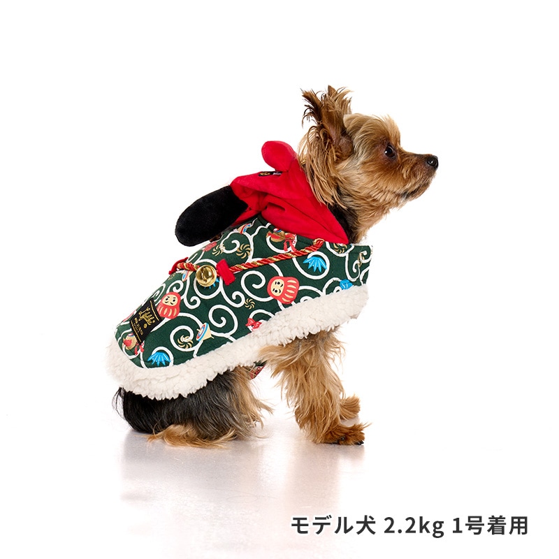 獅子舞唐草ポンチョ