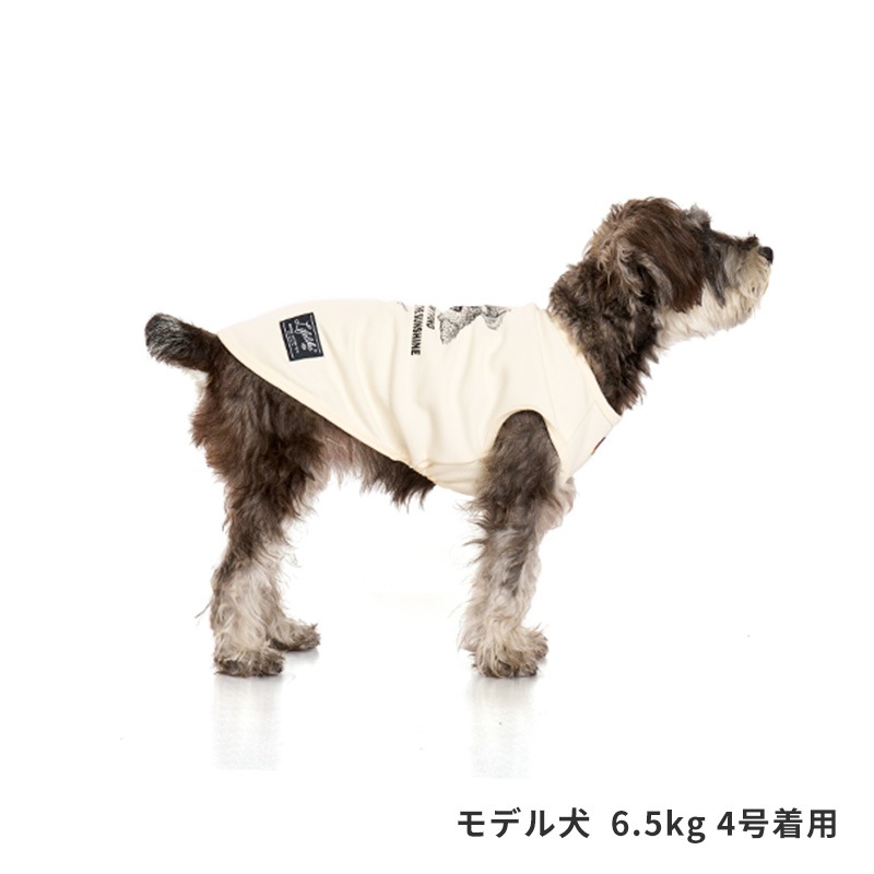 ドッグタイプタンク｜SCHNAUZER