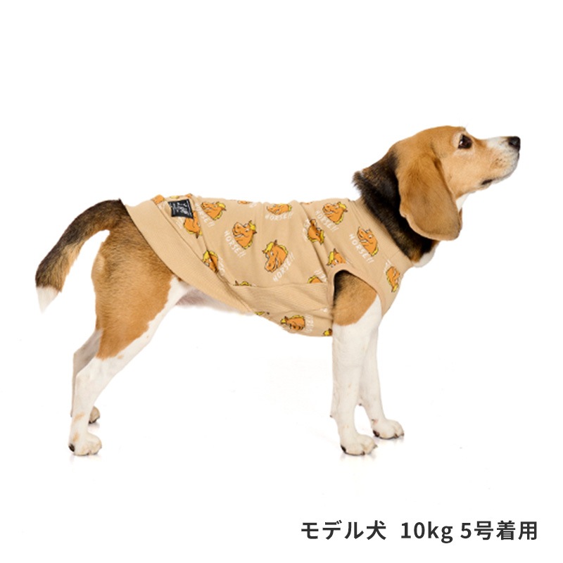 ホーストレーナー