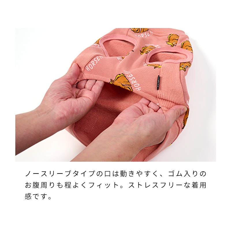 ホーストレーナー