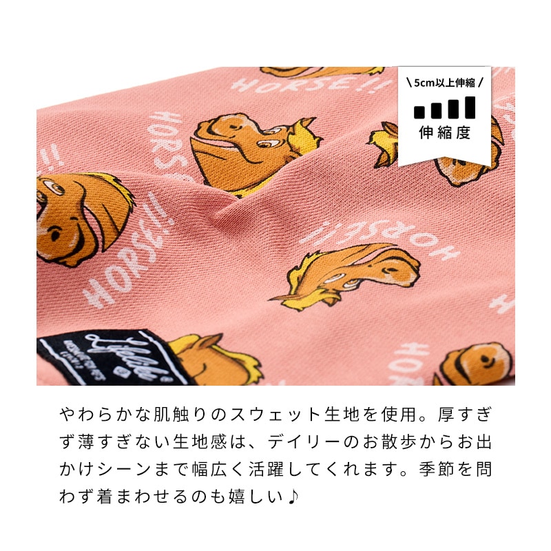 ホーストレーナー