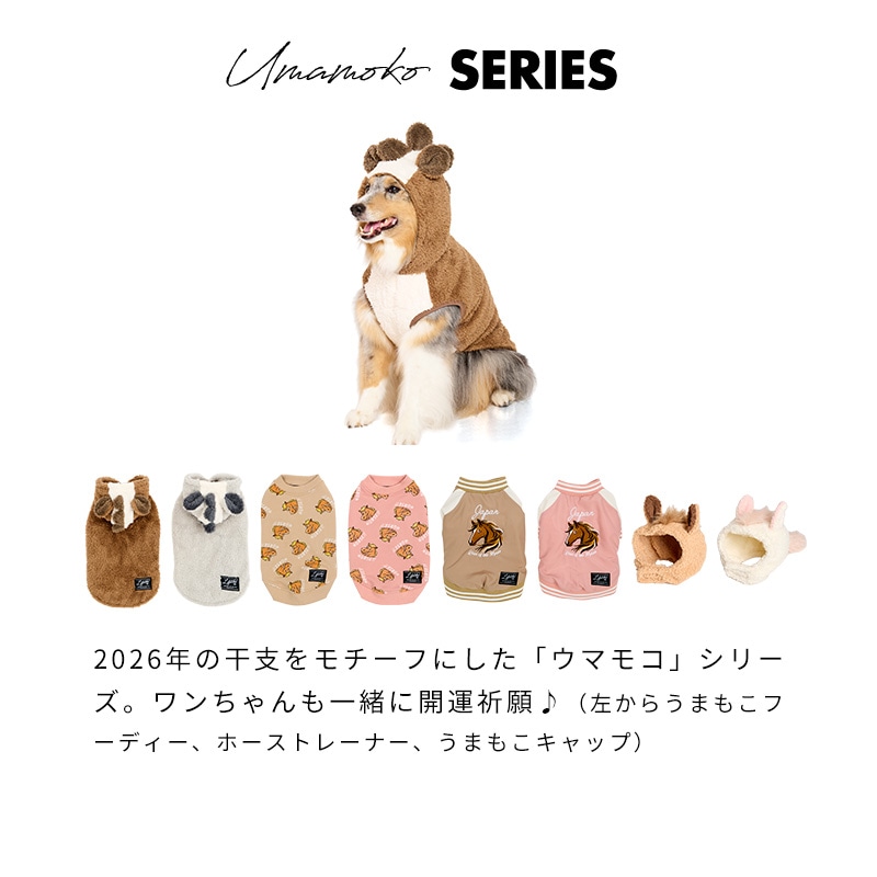 ホーストレーナー