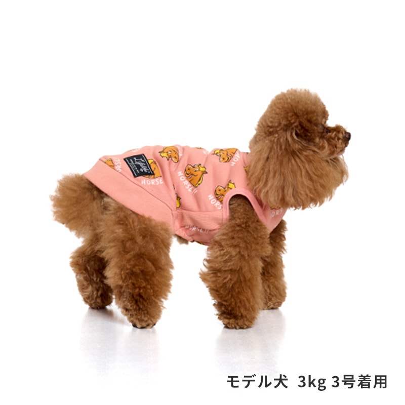 ホーストレーナー