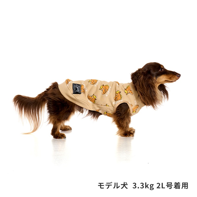 ホーストレーナー