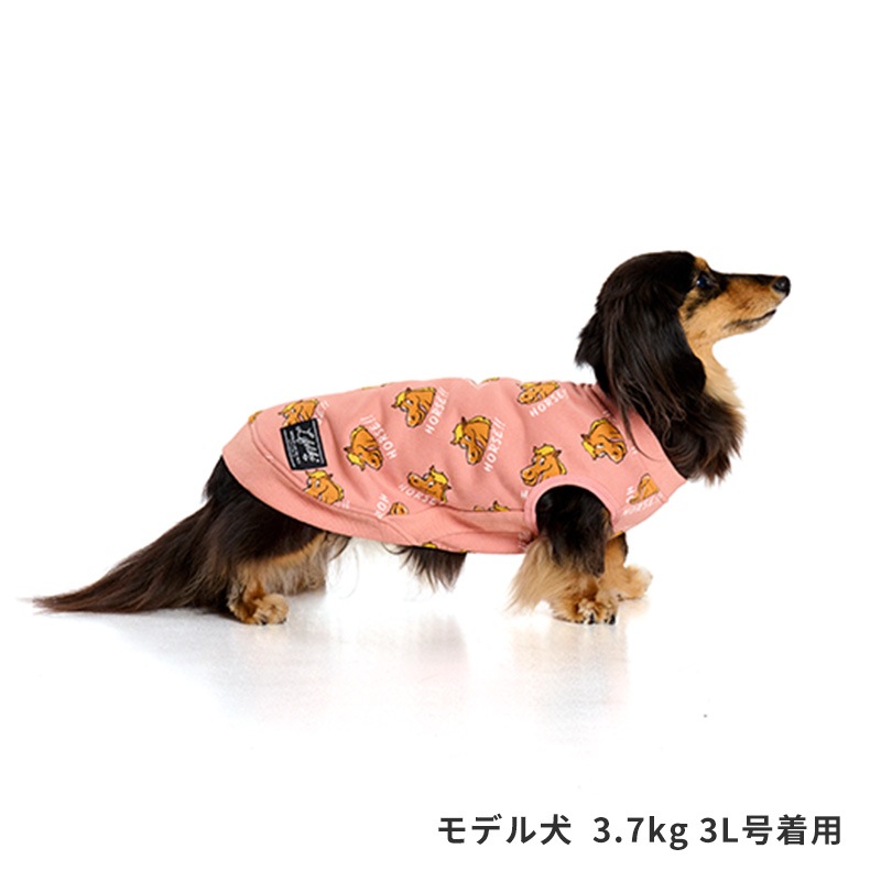 ホーストレーナー