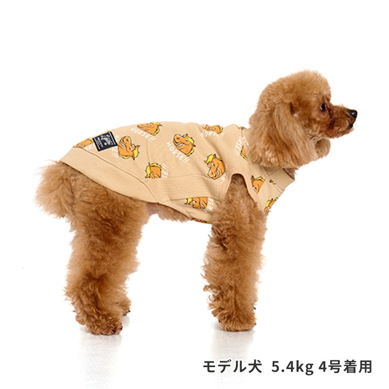 ホーストレーナー