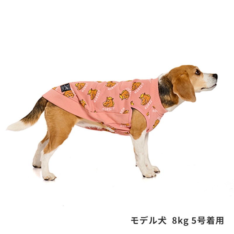 ホーストレーナー