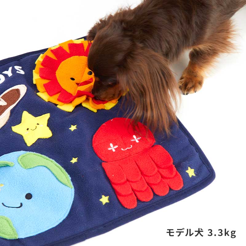 スペースノーズワークマット