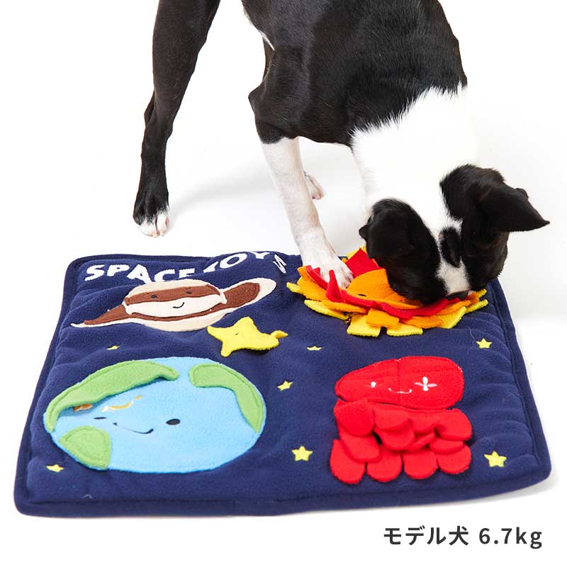 スペースノーズワークマット