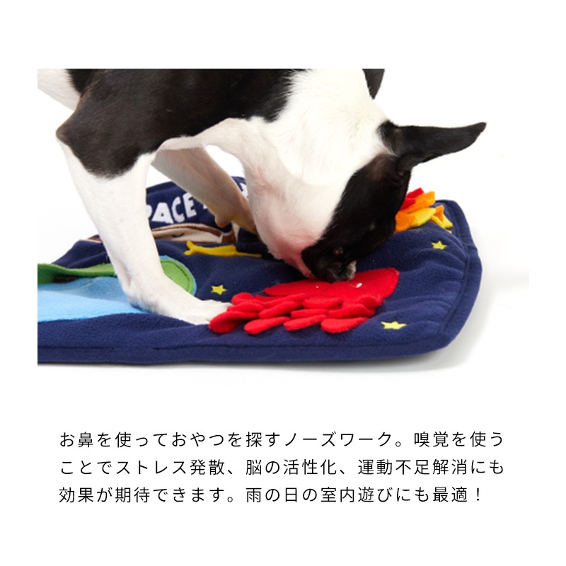 スペースノーズワークマット