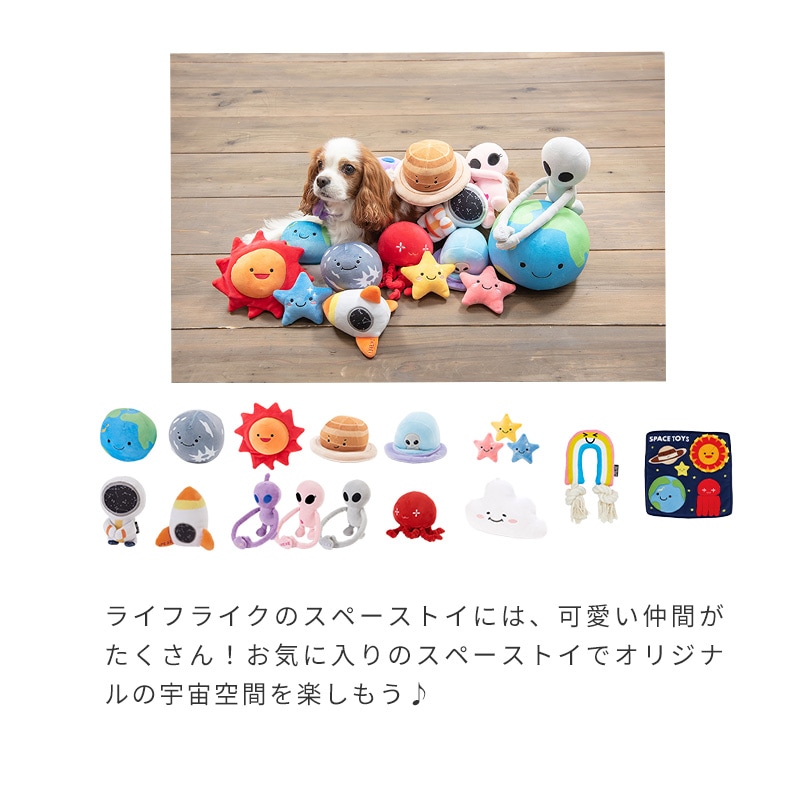 【空手ねこ♪】Life Essence1000ml 4本セット 空手ねこ♪】Life Essence1000ml 4本セット 空手ねこ♪】Life