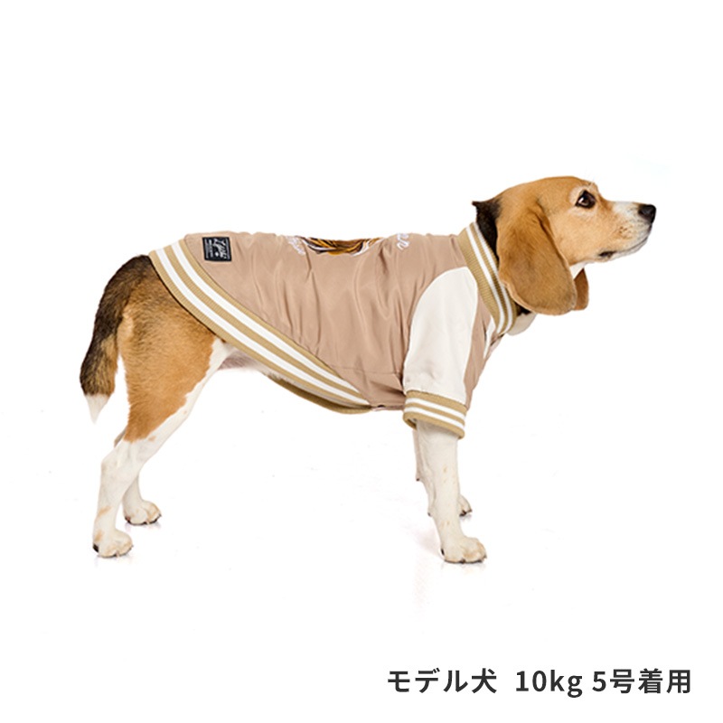 ホーススカジャン