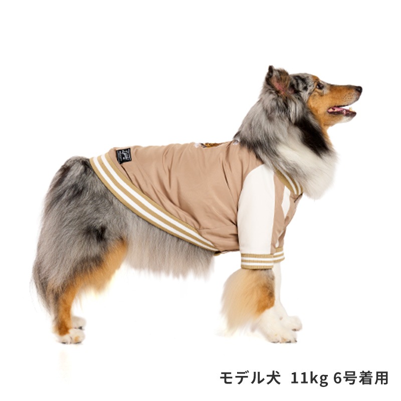 ホーススカジャン