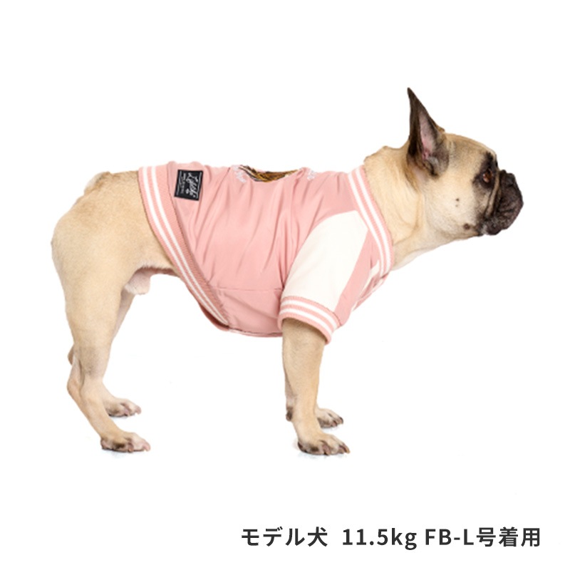 ホーススカジャン