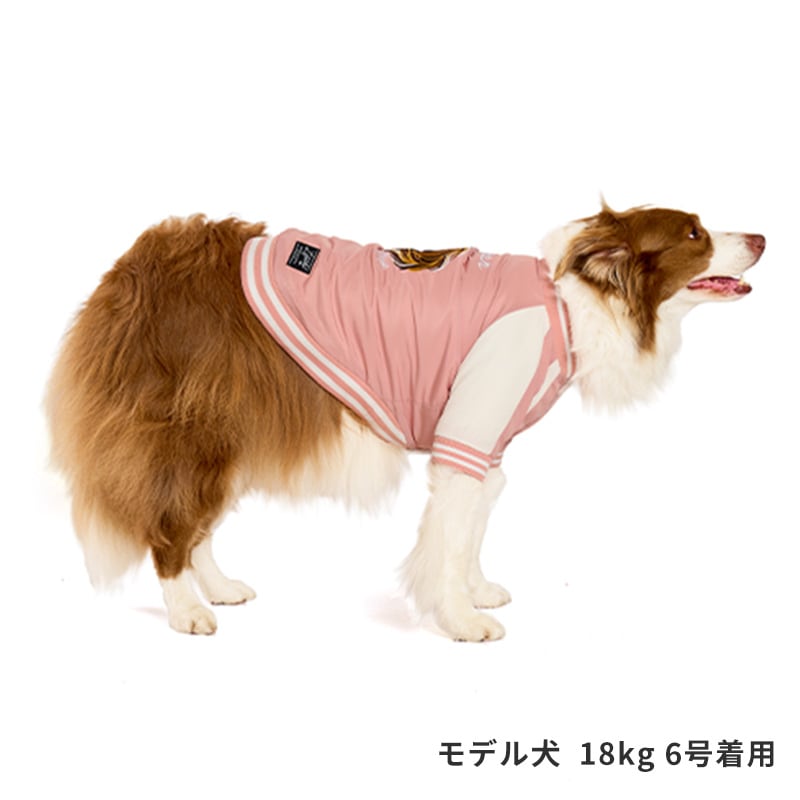 ホーススカジャン