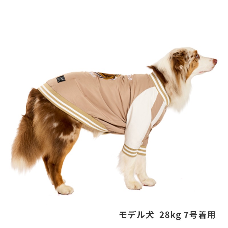 ホーススカジャン