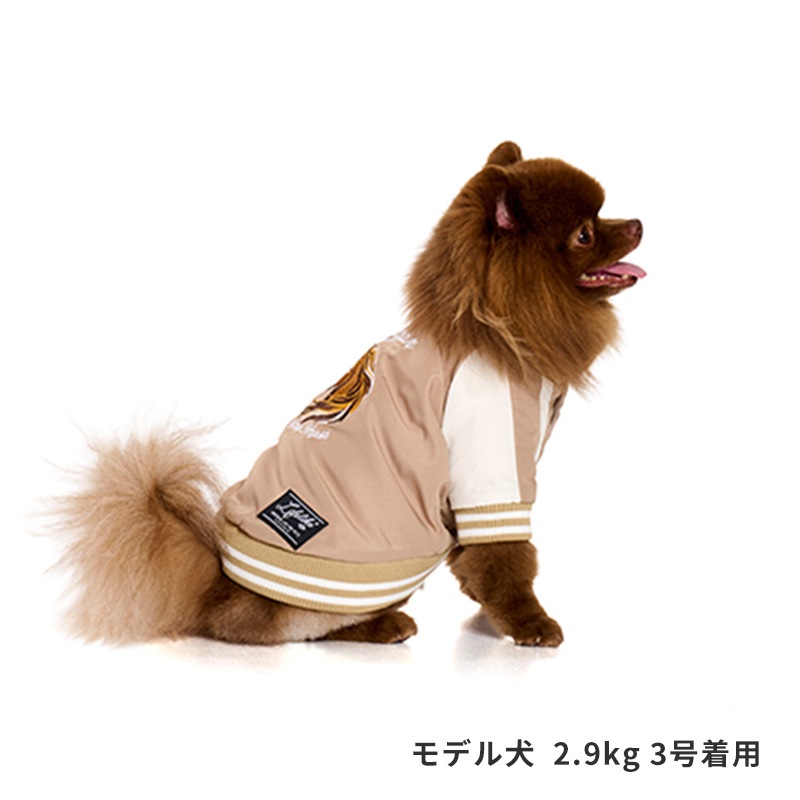 ホーススカジャン