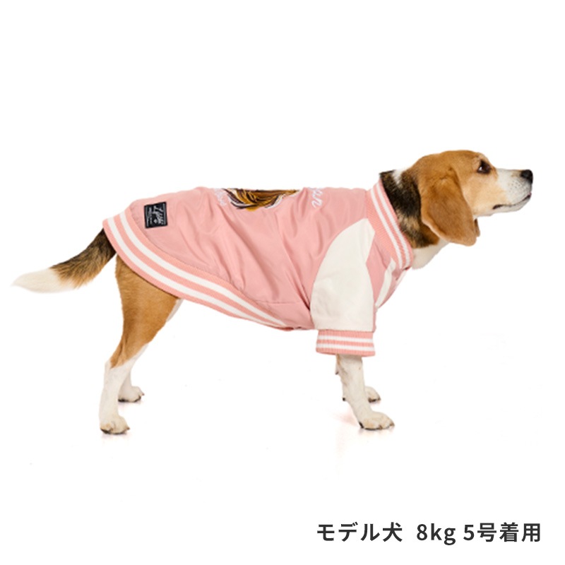 ホーススカジャン