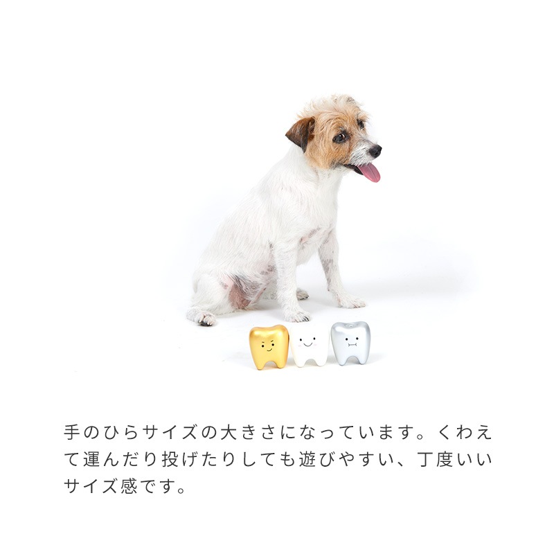 ラテックスteeth | Toys（おもちゃ） | LIFE LIKE 【犬服グッズ専門店】