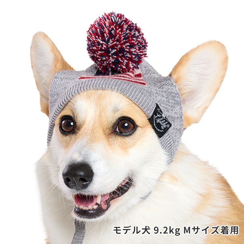 フラッグニット帽