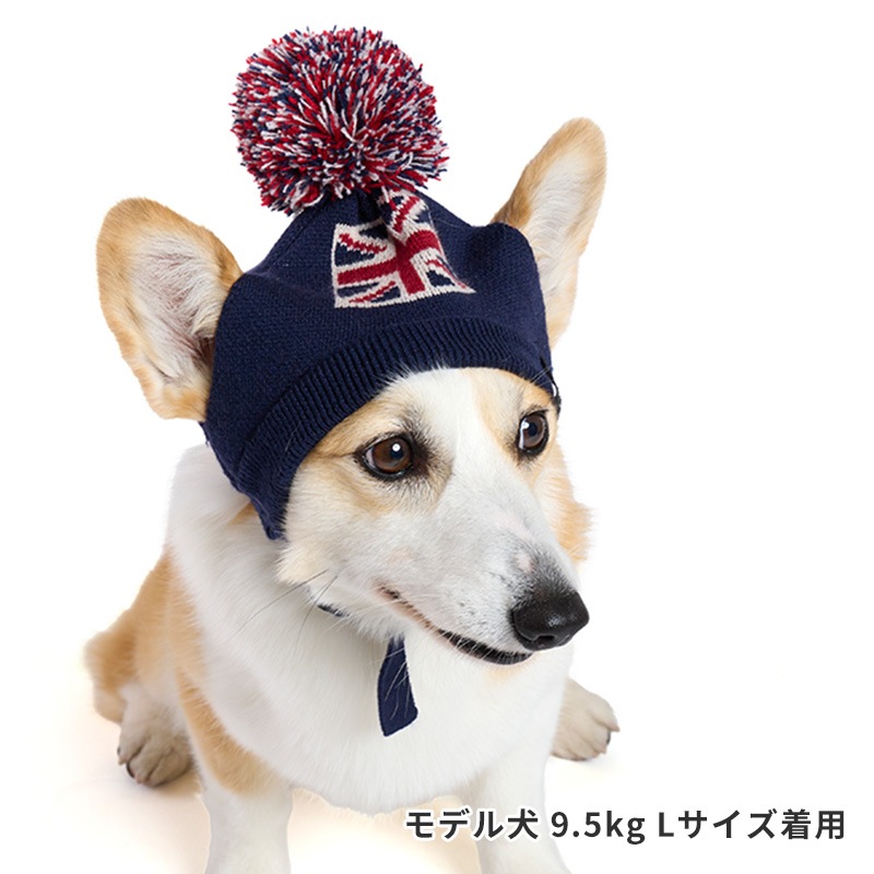 フラッグニット帽