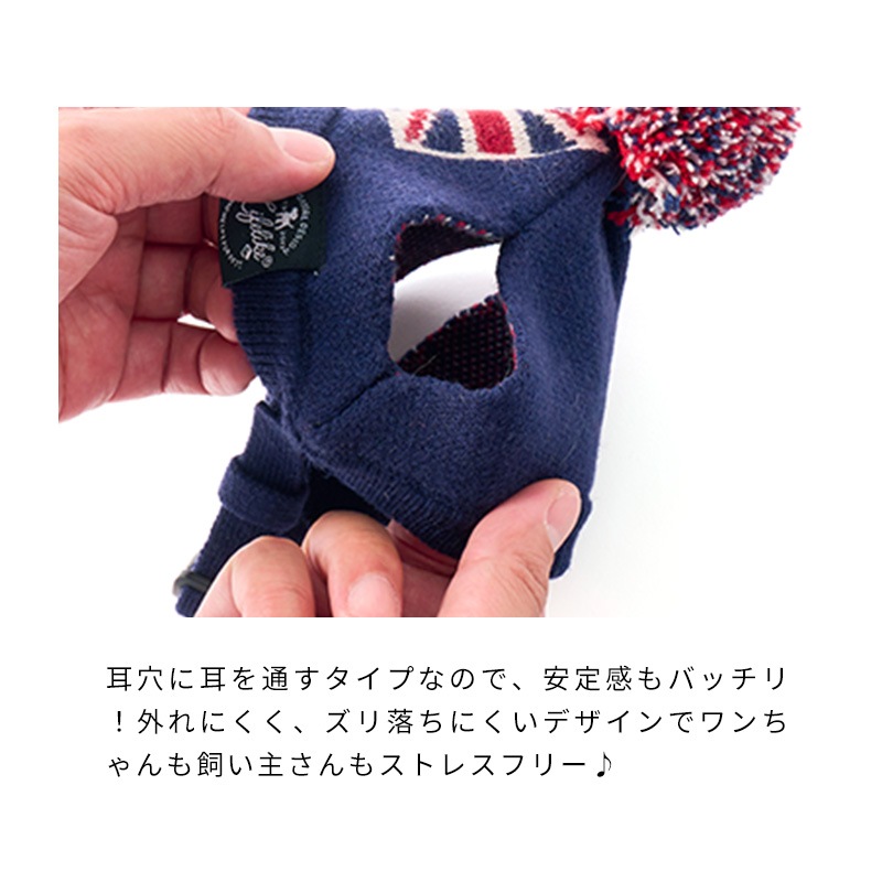 フラッグニット帽