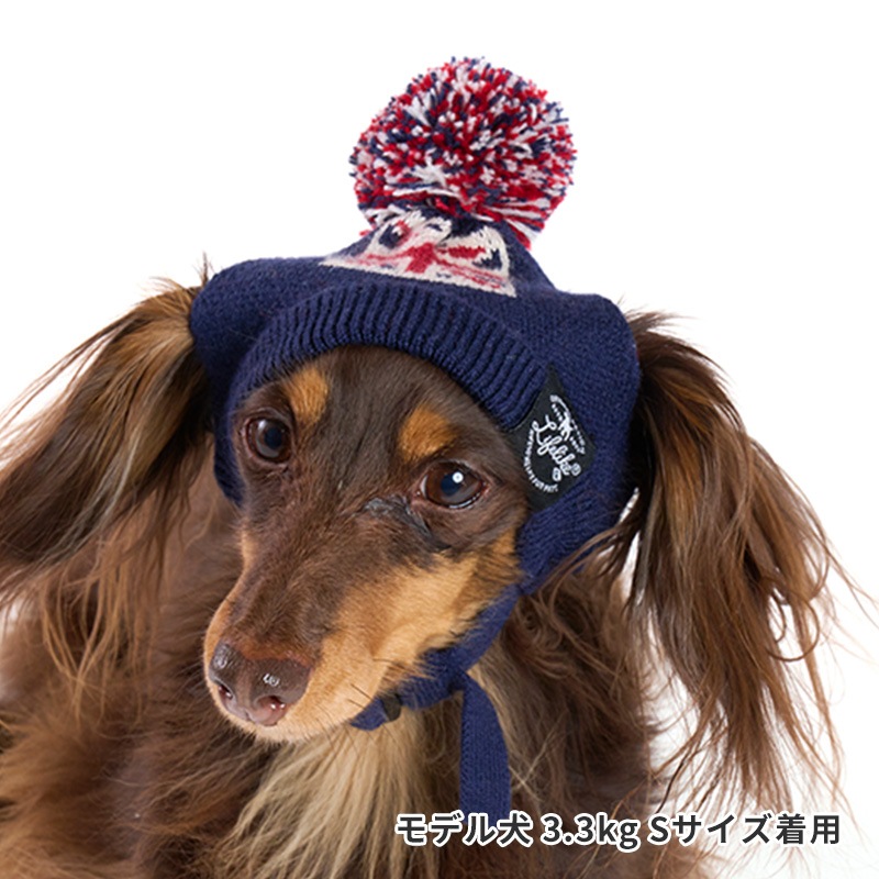 フラッグニット帽 | Cap（キャップ・ハット・バンダナ類） | LIFE LIKE