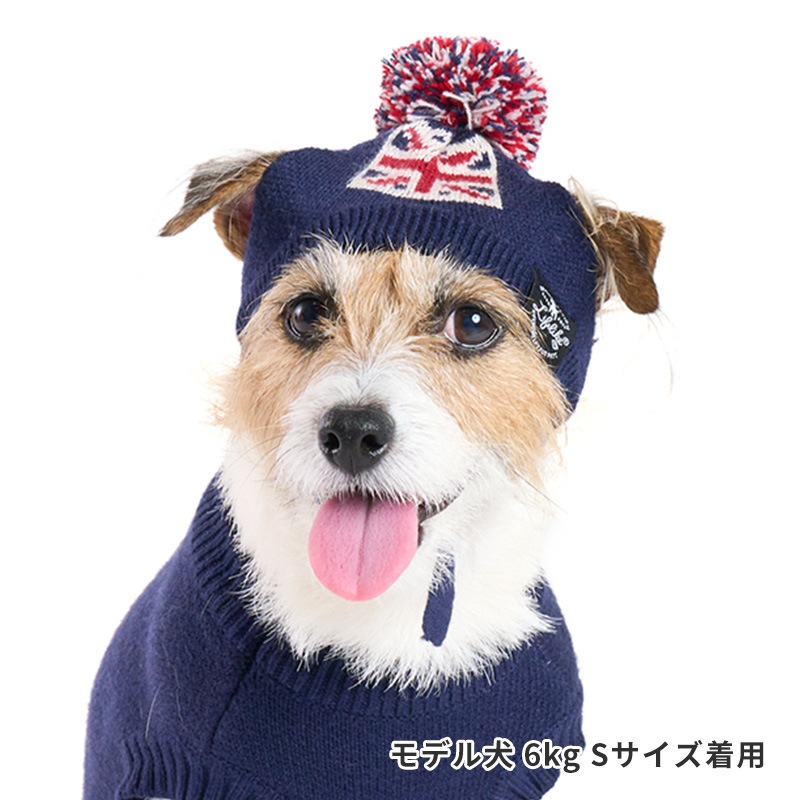 フラッグニット帽