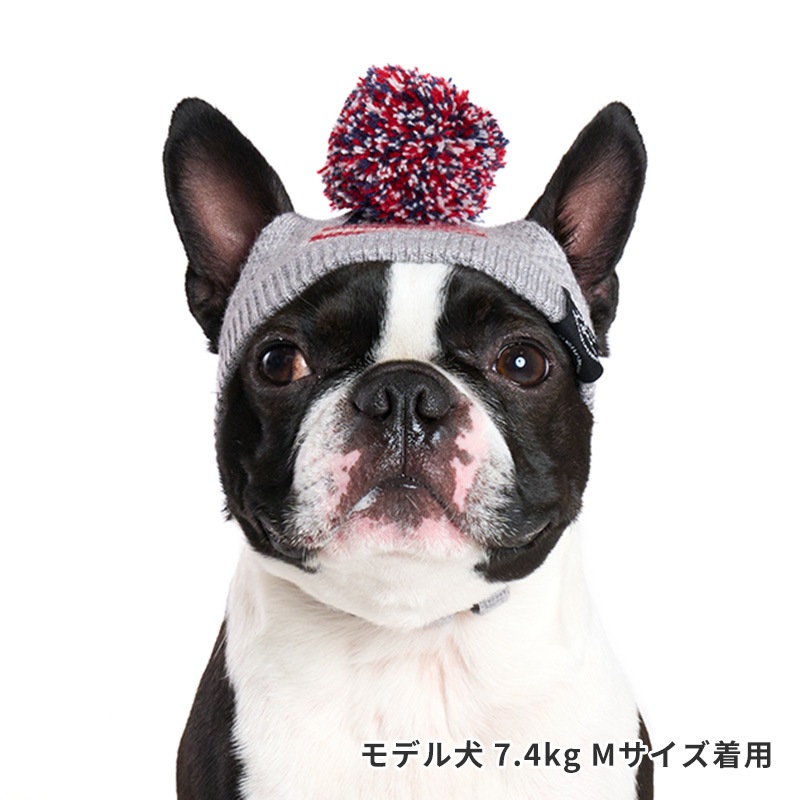 フラッグニット帽