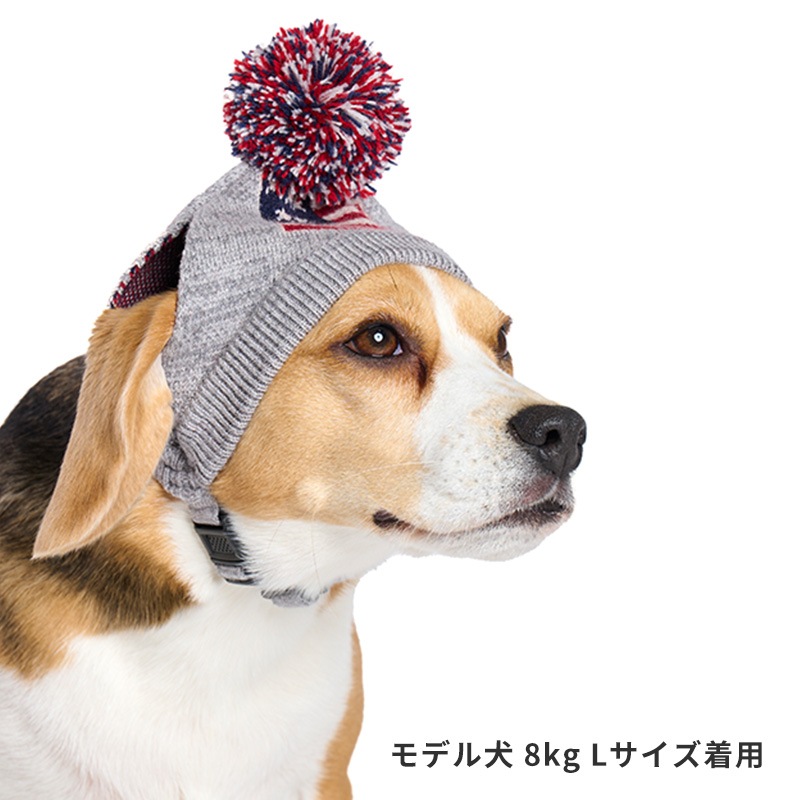 フラッグニット帽