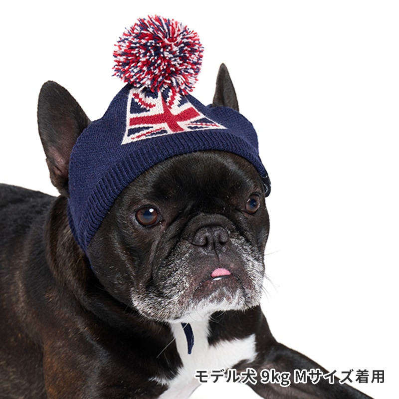 フラッグニット帽 | Cap（キャップ・ハット・バンダナ類） | LIFE LIKE