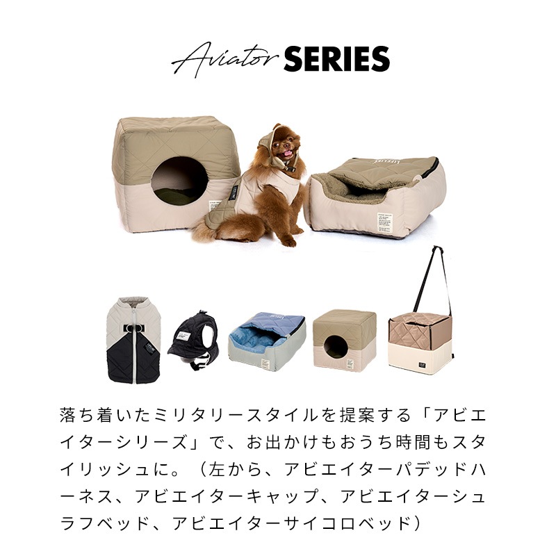 アビエイタードライブハウスベッド