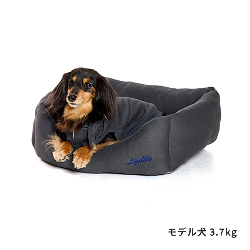 ベーシックロゴスクエアベッド