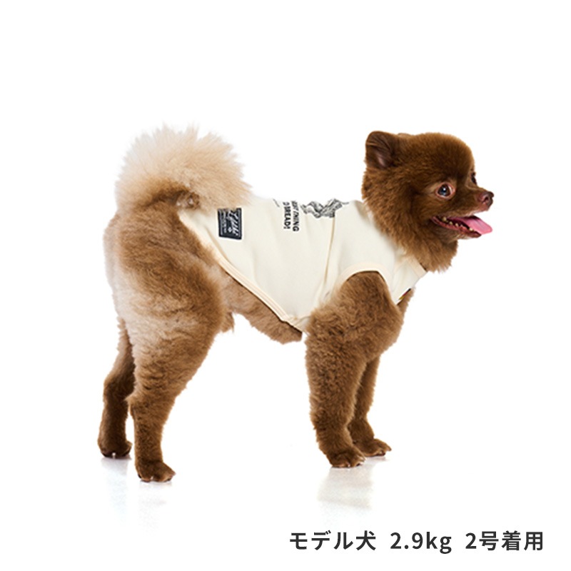 ドッグタイプタンク｜POMERANIAN