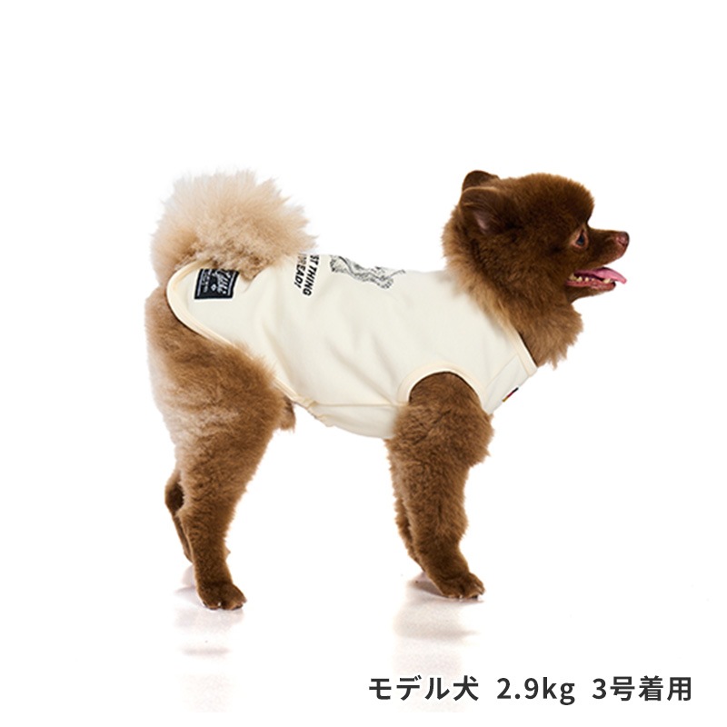 ドッグタイプタンク｜POMERANIAN
