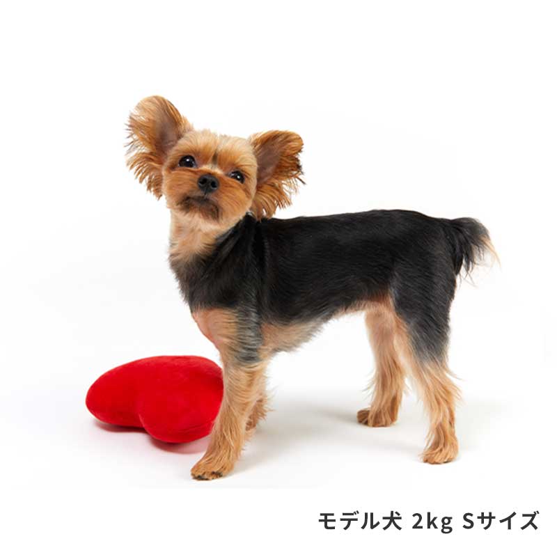 ハート